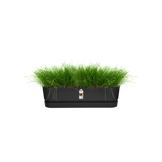 greenville pflanzgefäß lang 70cm living schwarz